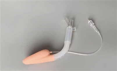 Laryngeal Mask Airway .